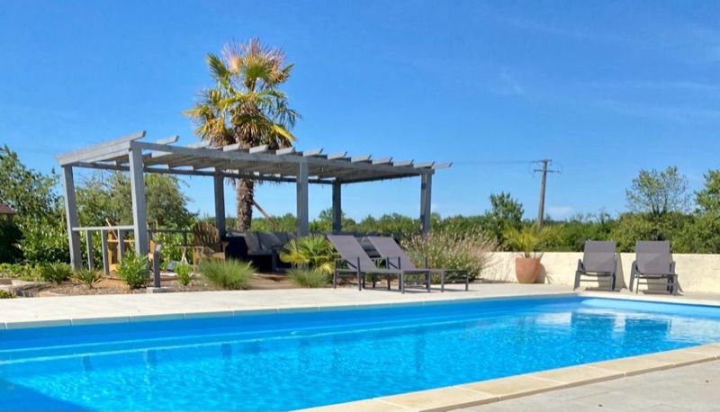 The swimming pool with its pergola and palm at the French property for sale